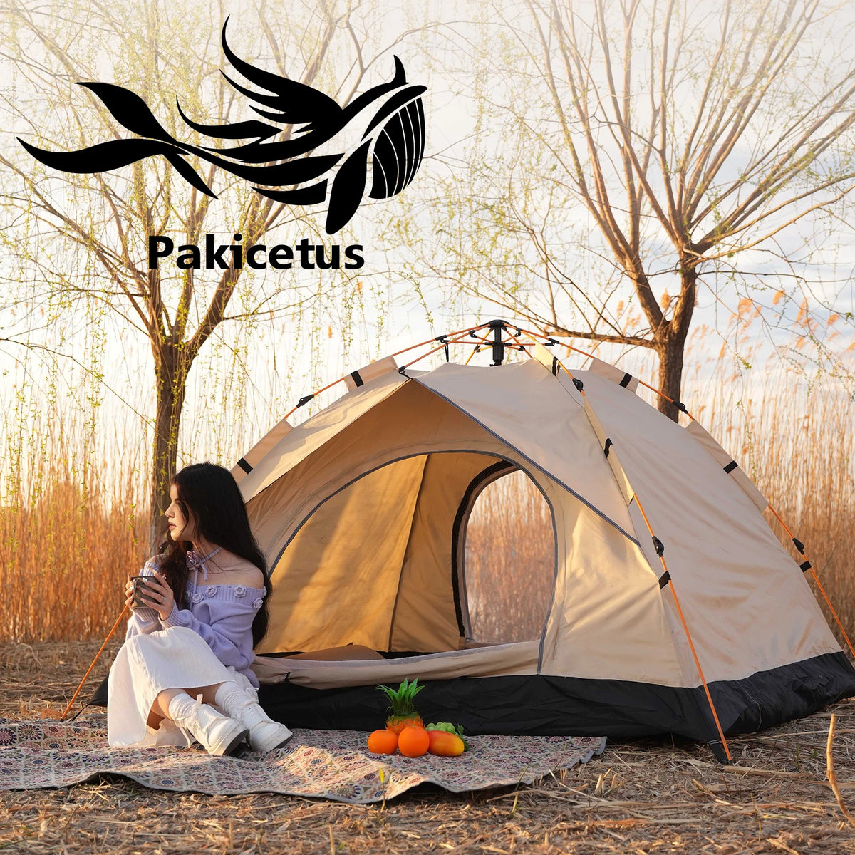 2–4 Person Automatic Pop-Up Tent